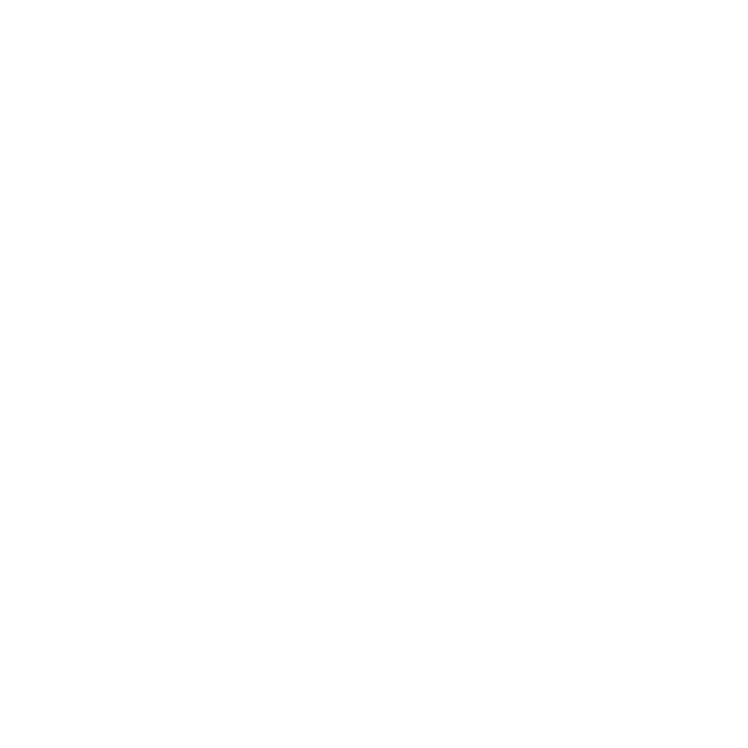 Nonna Noni logo
